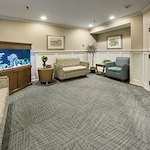 Image of Elderwood Of Scallop Shell At Wakefield (7)