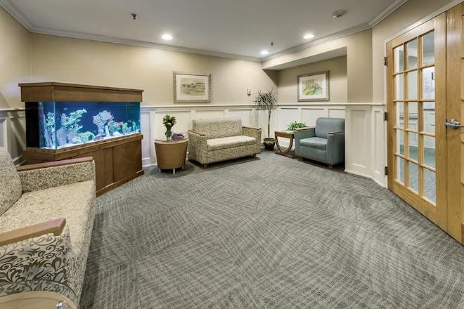 Image of Elderwood Of Scallop Shell At Wakefield (7)