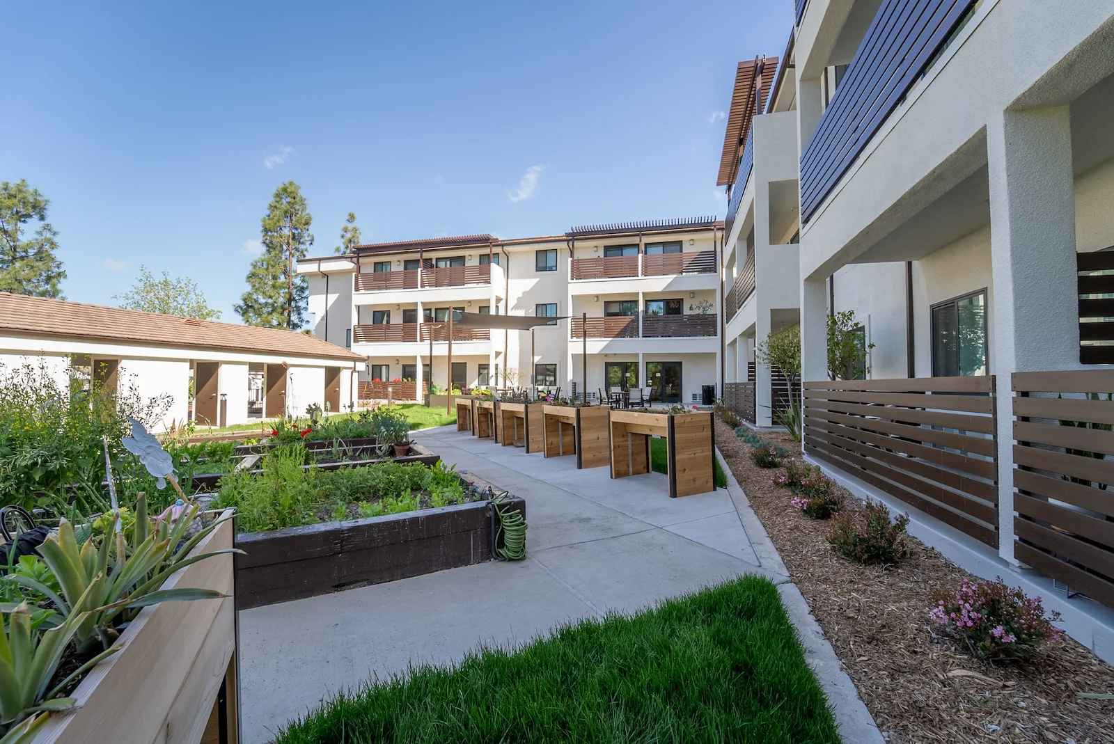 Image of Heywood Gardens (6)