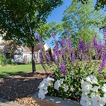 Image of Countryside Atrium (3)