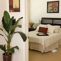 Image of Alden Gardens of Bloomingdale (5)