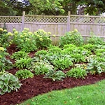 Image of Piatt County Nursing Home (2)