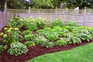 Image of Piatt County Nursing Home (2)