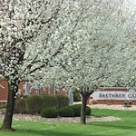 Image of Brethren Care Village Health Care Center (1)