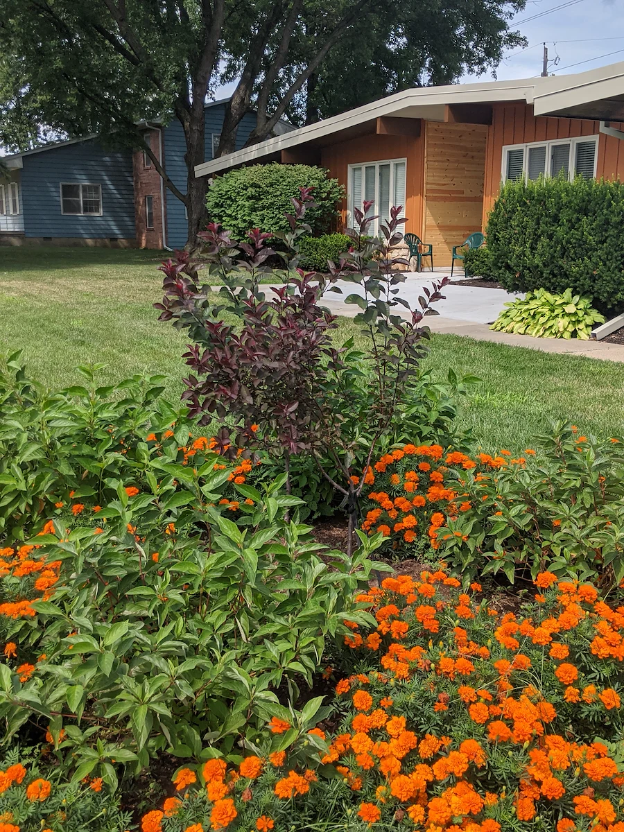 Legato Living Residential Memory Care at Eastridge senior living community offering assisted living, memory care, adult day services, and respite care in Omaha, NE, exterior with nice landscaping