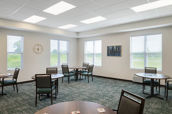 Image of Vita of Greenfield (8)