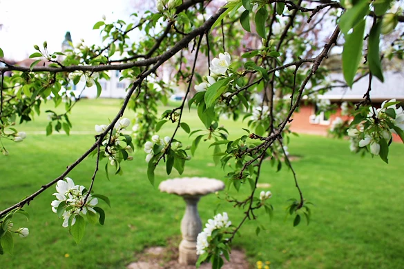 Image of Accura Healthcare Of Le Mars (2)