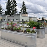 Image of Mountlake Senior Living (1)