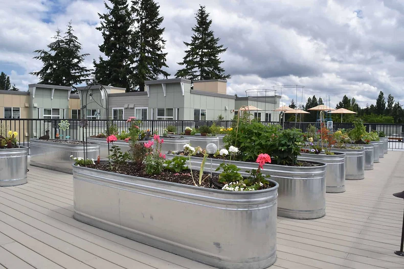 Image of Mountlake Senior Living (1)