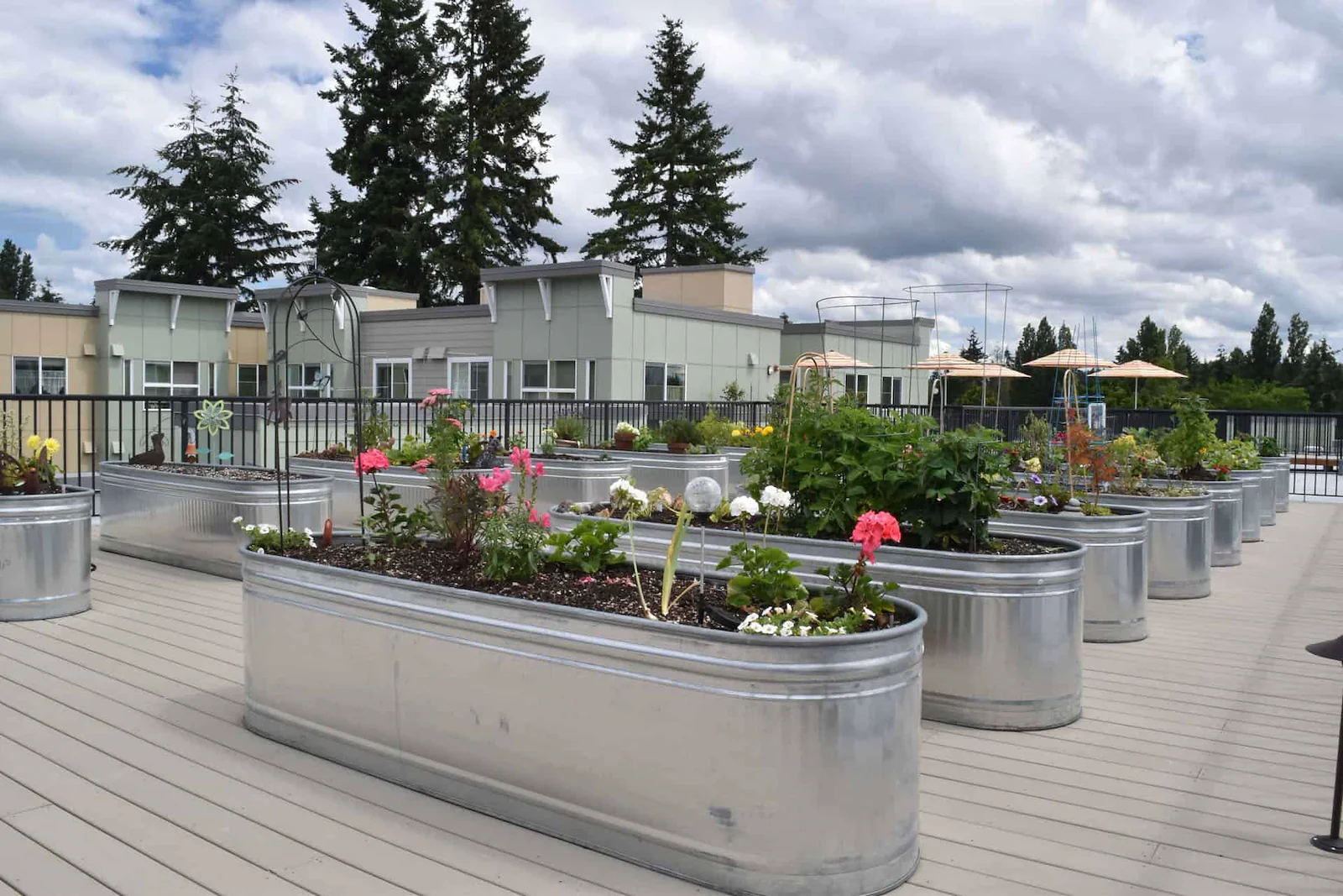 Image of Mountlake Senior Living (1)