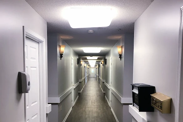 Image of Southern Magnolia Iuka (4)