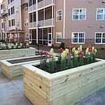 Mulligan Park Gracious Retirement Living Hawthorn Senior Independent Living in Tallahassee, Florida outdoor garden