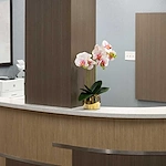 Image of Elevate Care Northbrook (4)