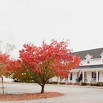 Image of The Oaks - Peake (10)