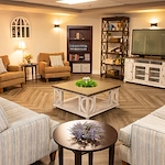 Image of Viva at Stafford (2)