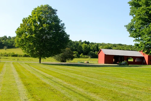 Image of Pine Valley Home (5)