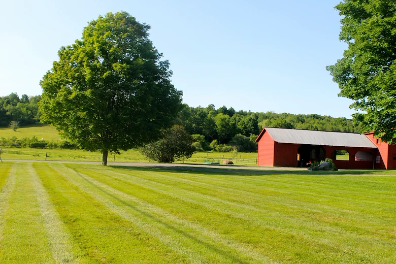 Image of Pine Valley Home (5)