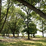 Image of Autumn Lake Healthcare At Memorial Bridge (2)