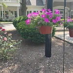 Image of Imboden Creek Gardens (1)