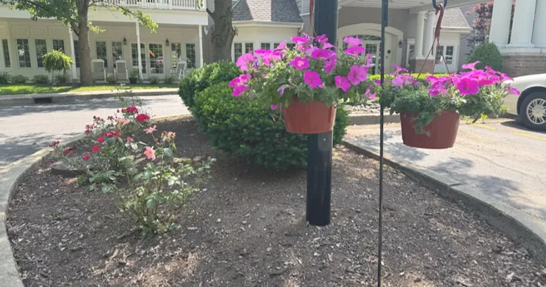 Image of Imboden Creek Gardens (1)