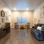 Image of Silver Birch of Avondale (5)