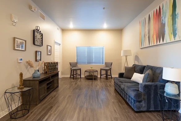 Image of Silver Birch of Avondale (5)