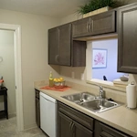 Image of Columbus Spring Leaf (3)