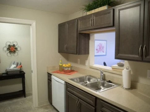 Image of Columbus Spring Leaf (3)