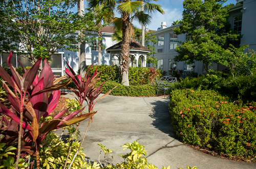 Image of AdviniaCare at Venice Assisted Living (6)