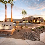 Image of Trellis Paradise (1)