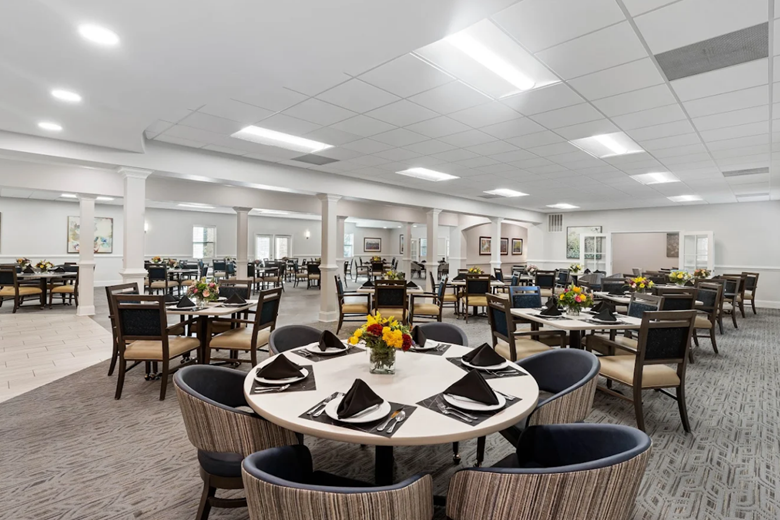Image of The Mansions at Alpharetta - Independent Living (3)