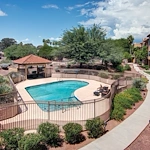 Image of Amber Lights (9)