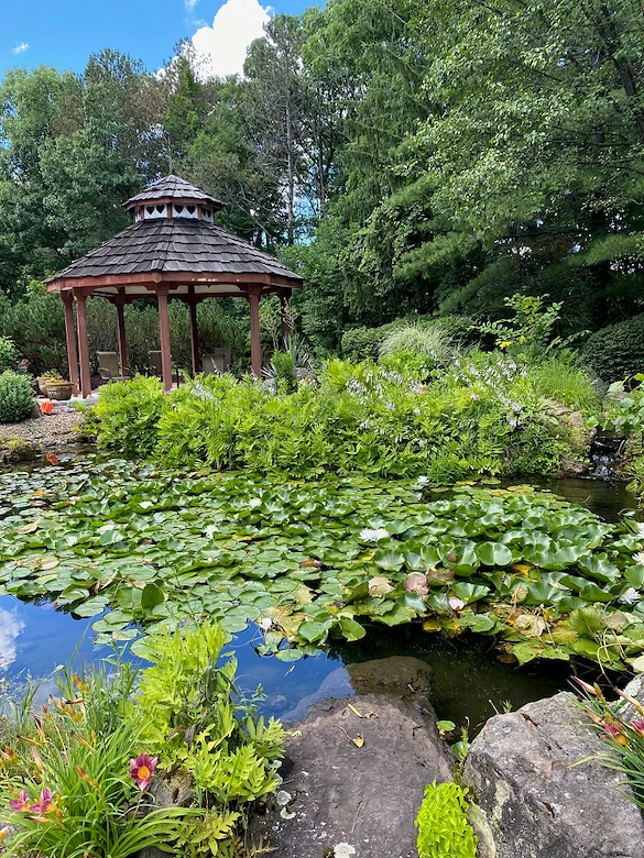 Image of Light of Hearts Villa (10)