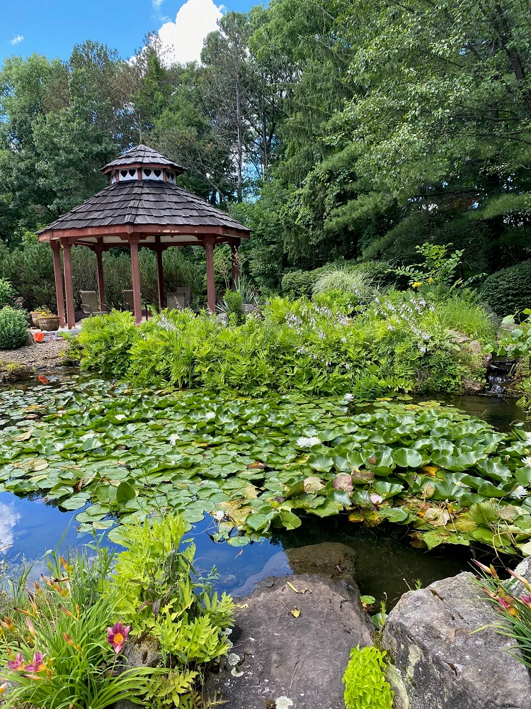 Image of Light of Hearts Villa (10)