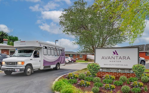 Image of Avantara Norton (1)