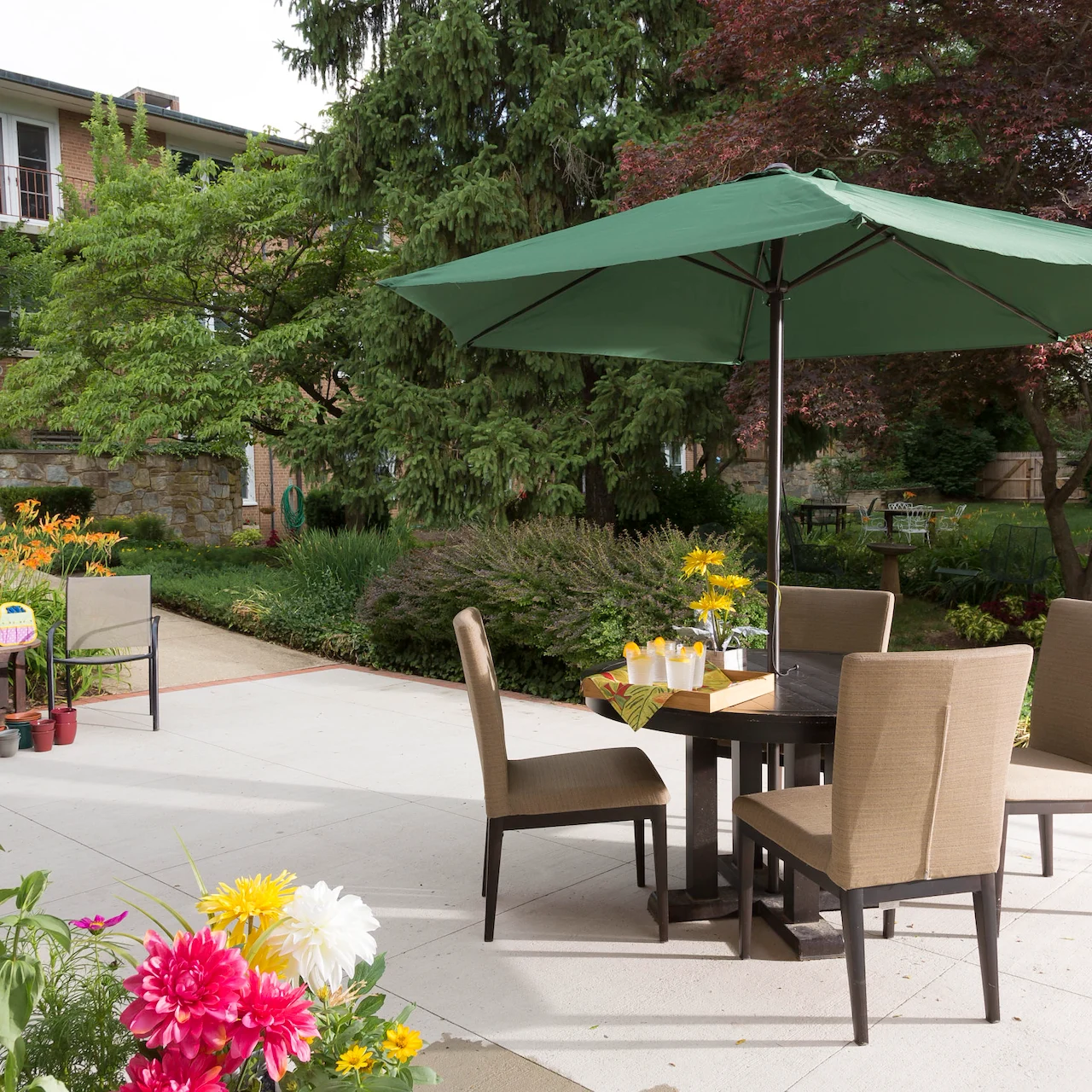 Image of Springvale Terrace (2)