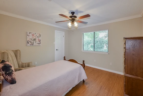 Image of Village Care Homes - Silver Leaf (8)