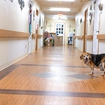 Image of Hurst Plaza Nursing & Rehab (5)