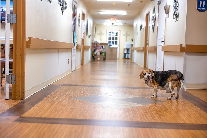 Image of Hurst Plaza Nursing & Rehab (5)