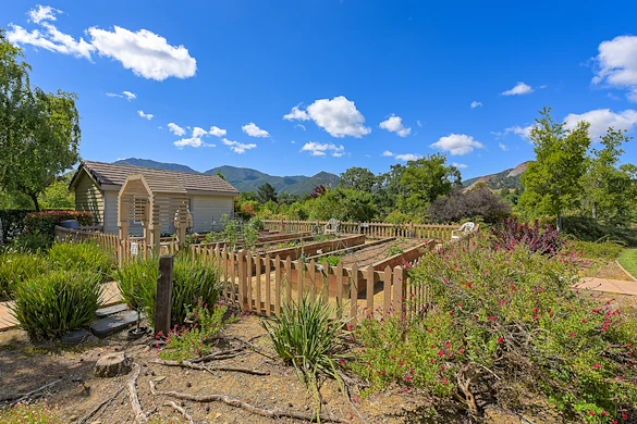 Image of Diamond Terrace Apartments (5)