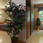 Image of Willowcrest Health Services (7)