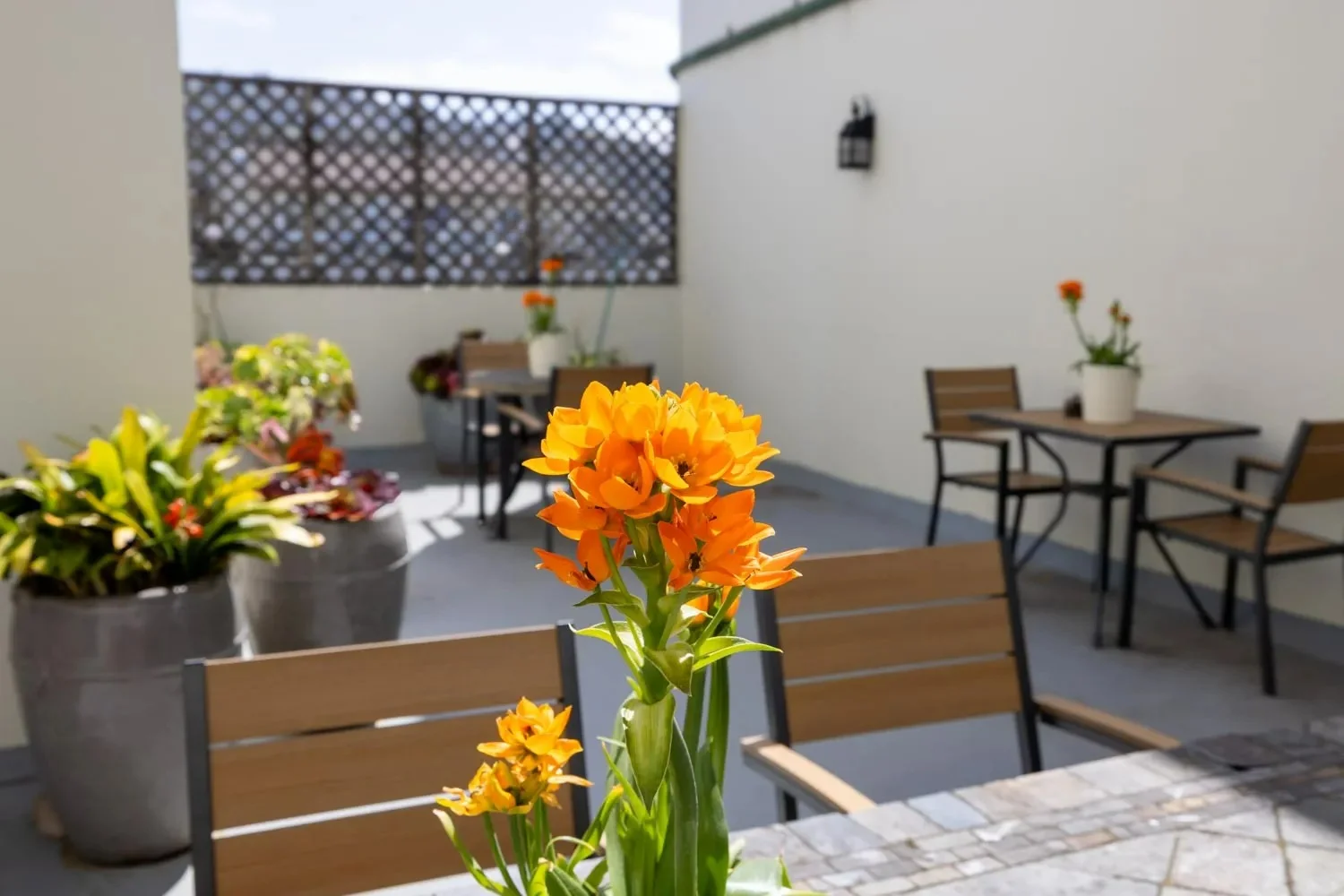 Image of Pacifica Nursing & Rehab Center (10)