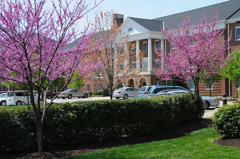 Image of The Chesapeake (1)