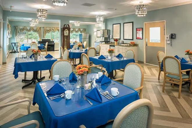 Image of Elderwood Of Scallop Shell At Wakefield (6)