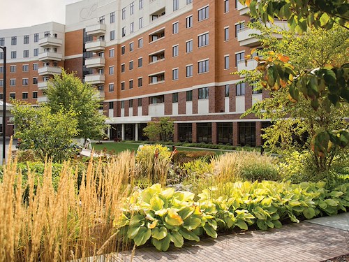 Image of Whitney Center (1)