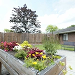 Image of Arbors at Streetsboro (10)