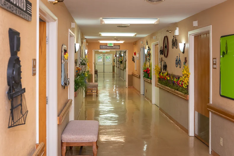 Image of Woodlands The (8)