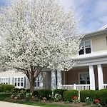 Image of Brentland Woods (2)