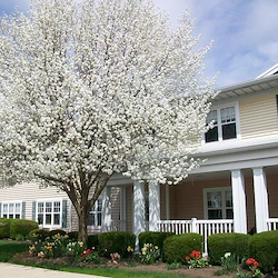 Image of Brentland Woods (2)