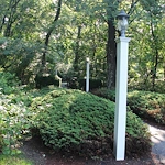 Image of Willow Brook Rehab & Healthcare Center (8)